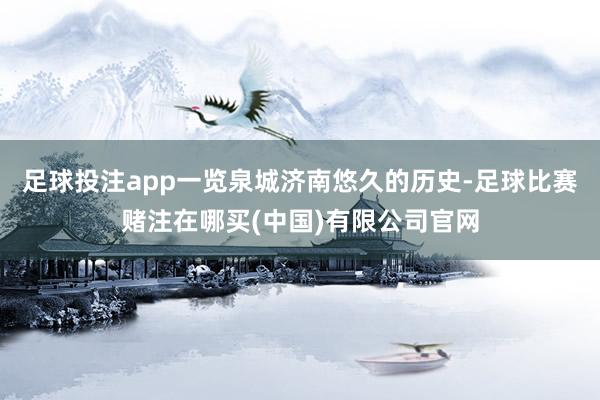 足球投注app一览泉城济南悠久的历史-足球比赛赌注在哪买(中国)有限公司官网