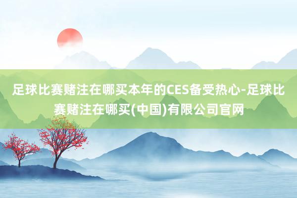 足球比赛赌注在哪买本年的CES备受热心-足球比赛赌注在哪买(中国)有限公司官网