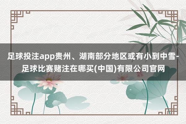 足球投注app贵州、湖南部分地区或有小到中雪-足球比赛赌注在哪买(中国)有限公司官网