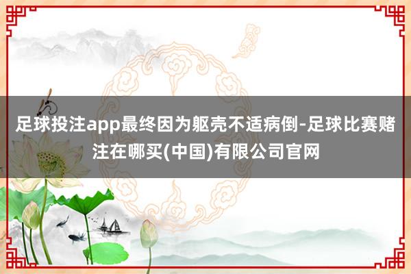 足球投注app最终因为躯壳不适病倒-足球比赛赌注在哪买(中国)有限公司官网