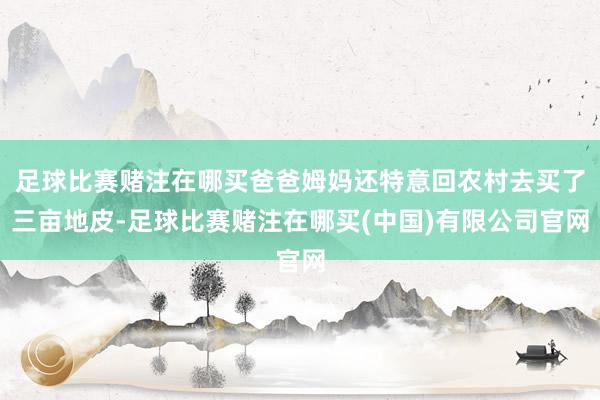 足球比赛赌注在哪买爸爸姆妈还特意回农村去买了三亩地皮-足球比赛赌注在哪买(中国)有限公司官网