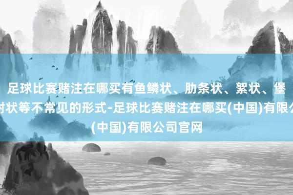 足球比赛赌注在哪买有鱼鳞状、肋条状、絮状、堡状、辐射状等不常见的形式-足球比赛赌注在哪买(中国)有限公司官网