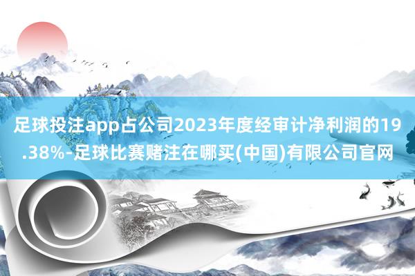 足球投注app占公司2023年度经审计净利润的19.38%-足球比赛赌注在哪买(中国)有限公司官网