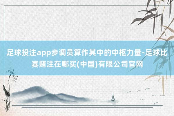 足球投注app步调员算作其中的中枢力量-足球比赛赌注在哪买(中国)有限公司官网