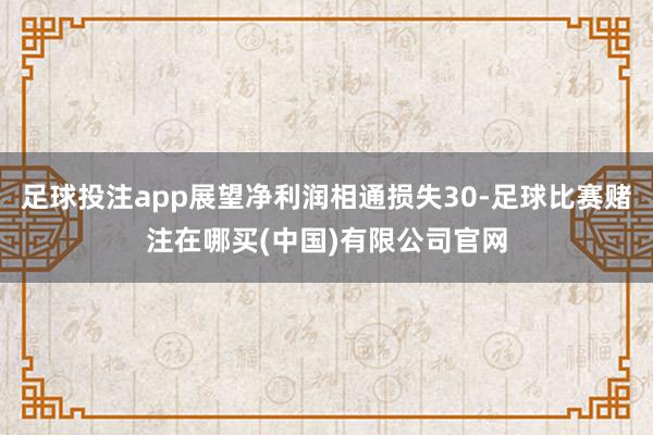 足球投注app展望净利润相通损失30-足球比赛赌注在哪买(中国)有限公司官网