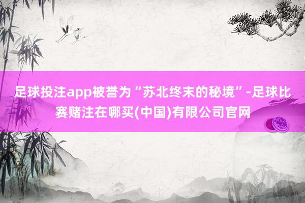 足球投注app被誉为“苏北终末的秘境”-足球比赛赌注在哪买(中国)有限公司官网