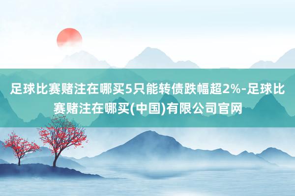 足球比赛赌注在哪买5只能转债跌幅超2%-足球比赛赌注在哪买(中国)有限公司官网