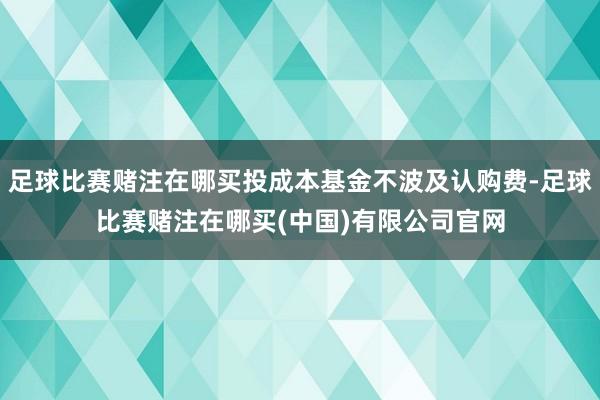 足球比赛赌注在哪买投成本基金不波及认购费-足球比赛赌注在哪买(中国)有限公司官网
