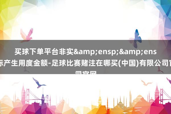 买球下单平台非实&ensp;&ensp;际产生用度金额-足球比赛赌注在哪买(中国)有限公司官网