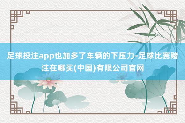 足球投注app也加多了车辆的下压力-足球比赛赌注在哪买(中国)有限公司官网