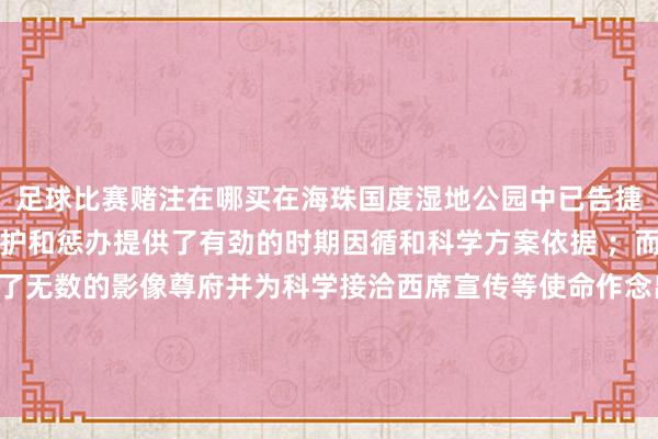 足球比赛赌注在哪买在海珠国度湿地公园中已告捷完毕了这少量为生态保护和惩办提供了有劲的时期因循和科学方案依据 ；而且该系统已累计纪录了无数的影像尊府并为科学接洽西席宣传等使命作念出了热切孝顺 [参考著述中具体案例诓骗情况整合而成]. 发布于：广东省-足球比赛赌注在哪买(中国)有限公司官网