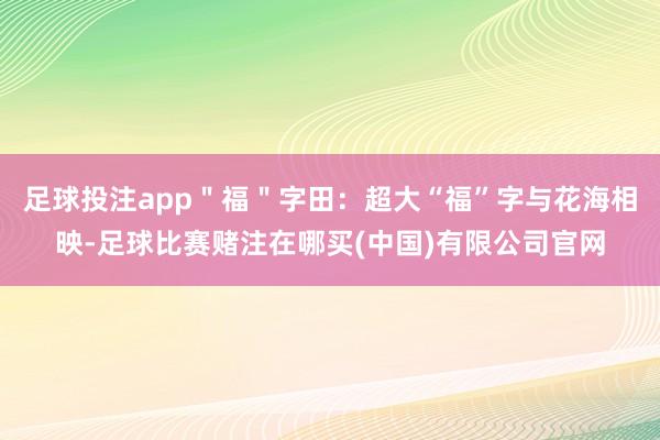 足球投注app＂福＂字田：超大“福”字与花海相映-足球比赛赌注在哪买(中国)有限公司官网