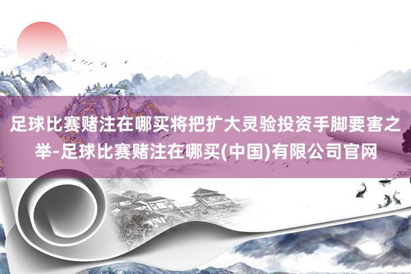 足球比赛赌注在哪买将把扩大灵验投资手脚要害之举-足球比赛赌注在哪买(中国)有限公司官网