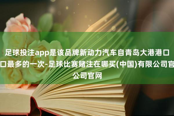 足球投注app是该品牌新动力汽车自青岛大港港口出口最多的一次-足球比赛赌注在哪买(中国)有限公司官网