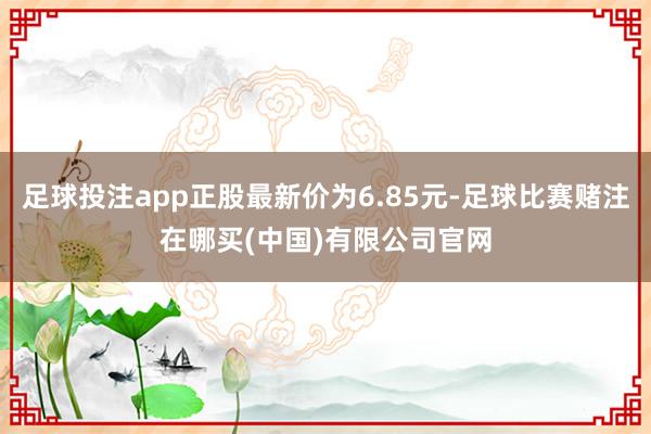 足球投注app正股最新价为6.85元-足球比赛赌注在哪买(中国)有限公司官网