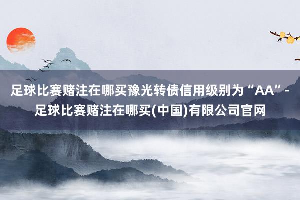 足球比赛赌注在哪买豫光转债信用级别为“AA”-足球比赛赌注在哪买(中国)有限公司官网