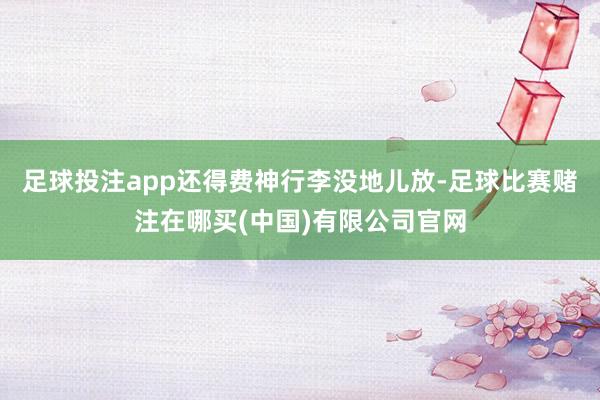 足球投注app还得费神行李没地儿放-足球比赛赌注在哪买(中国)有限公司官网