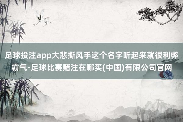 足球投注app大悲撕风手这个名字听起来就很利弊霸气-足球比赛赌注在哪买(中国)有限公司官网