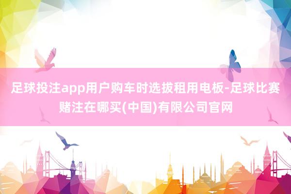 足球投注app用户购车时选拔租用电板-足球比赛赌注在哪买(中国)有限公司官网