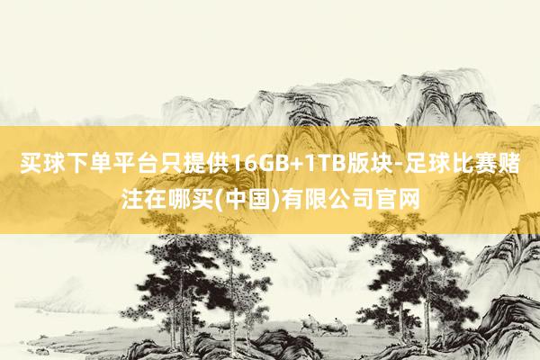买球下单平台只提供16GB+1TB版块-足球比赛赌注在哪买(中国)有限公司官网
