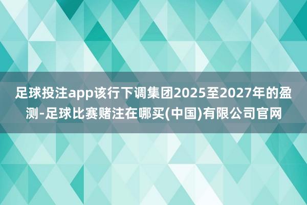 足球投注app该行下调集团2025至2027年的盈测-足球比赛赌注在哪买(中国)有限公司官网