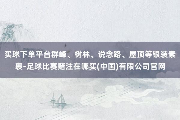 买球下单平台群峰、树林、说念路、屋顶等银装素裹-足球比赛赌注在哪买(中国)有限公司官网