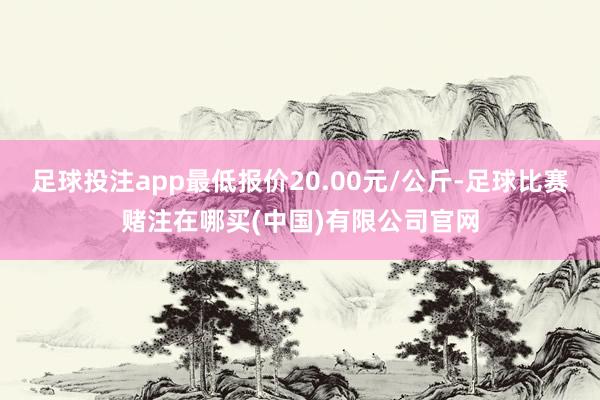 足球投注app最低报价20.00元/公斤-足球比赛赌注在哪买(中国)有限公司官网