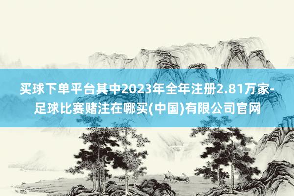 买球下单平台其中2023年全年注册2.81万家-足球比赛赌注在哪买(中国)有限公司官网