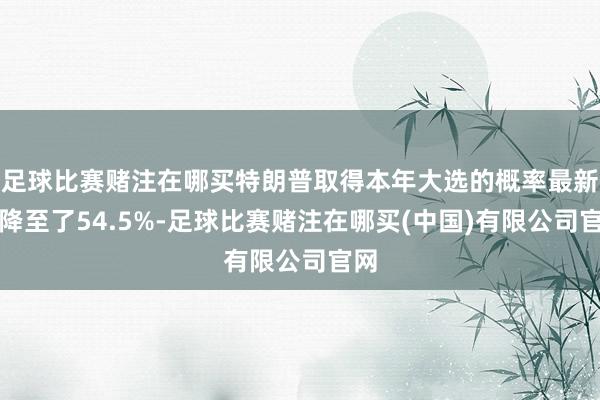 足球比赛赌注在哪买特朗普取得本年大选的概率最新已降至了54.5%-足球比赛赌注在哪买(中国)有限公司官网