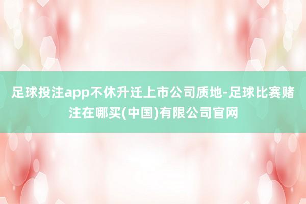 足球投注app不休升迁上市公司质地-足球比赛赌注在哪买(中国)有限公司官网