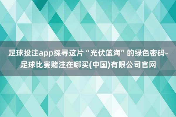 足球投注app探寻这片“光伏蓝海”的绿色密码-足球比赛赌注在哪买(中国)有限公司官网