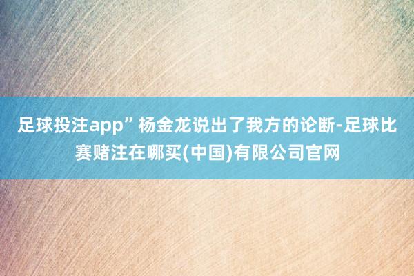 足球投注app”杨金龙说出了我方的论断-足球比赛赌注在哪买(中国)有限公司官网