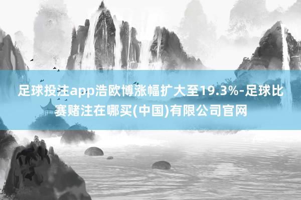 足球投注app浩欧博涨幅扩大至19.3%-足球比赛赌注在哪买(中国)有限公司官网