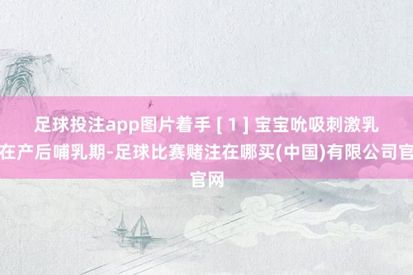 足球投注app图片着手 [ 1 ] 宝宝吮吸刺激乳头在产后哺乳期-足球比赛赌注在哪买(中国)有限公司官网
