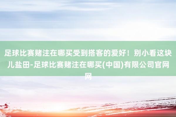 足球比赛赌注在哪买受到搭客的爱好！别小看这块儿盐田-足球比赛赌注在哪买(中国)有限公司官网