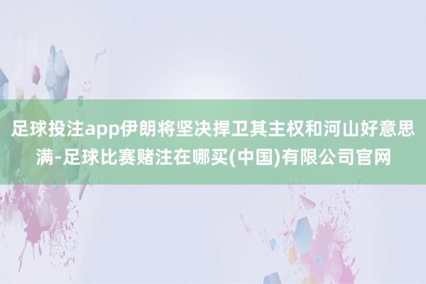 足球投注app伊朗将坚决捍卫其主权和河山好意思满-足球比赛赌注在哪买(中国)有限公司官网