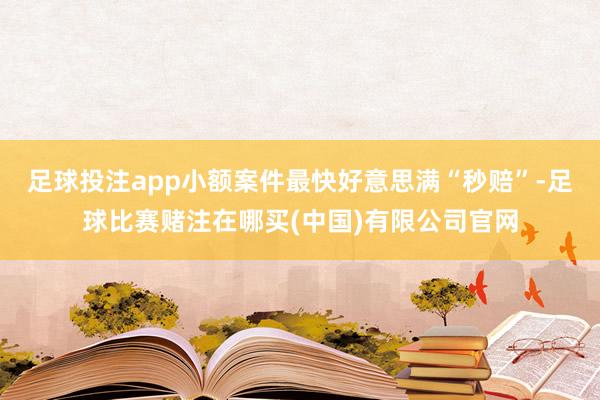 足球投注app小额案件最快好意思满“秒赔”-足球比赛赌注在哪买(中国)有限公司官网