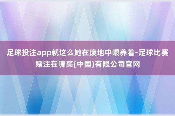 足球投注app就这么她在废地中喂养着-足球比赛赌注在哪买(中国)有限公司官网