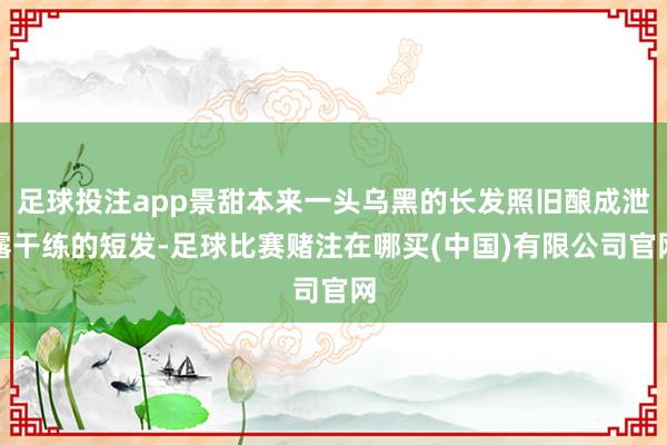 足球投注app景甜本来一头乌黑的长发照旧酿成泄露干练的短发-足球比赛赌注在哪买(中国)有限公司官网