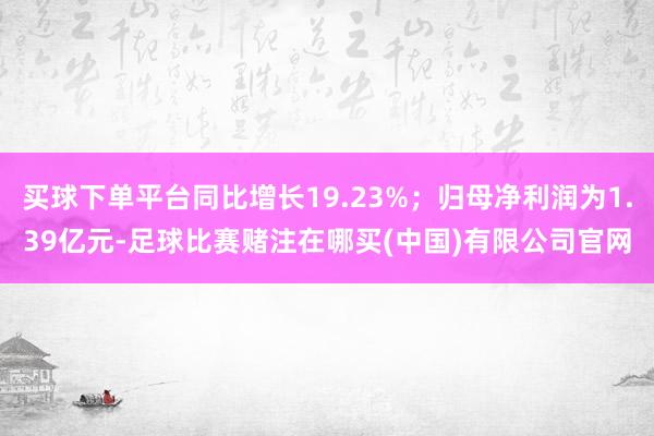 买球下单平台同比增长19.23%；归母净利润为1.39亿元-足球比赛赌注在哪买(中国)有限公司官网