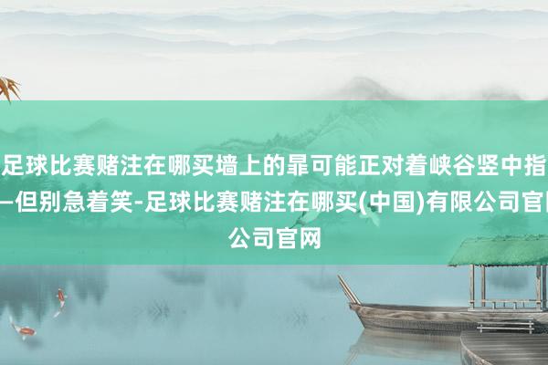 足球比赛赌注在哪买墙上的暃可能正对着峡谷竖中指——但别急着笑-足球比赛赌注在哪买(中国)有限公司官网