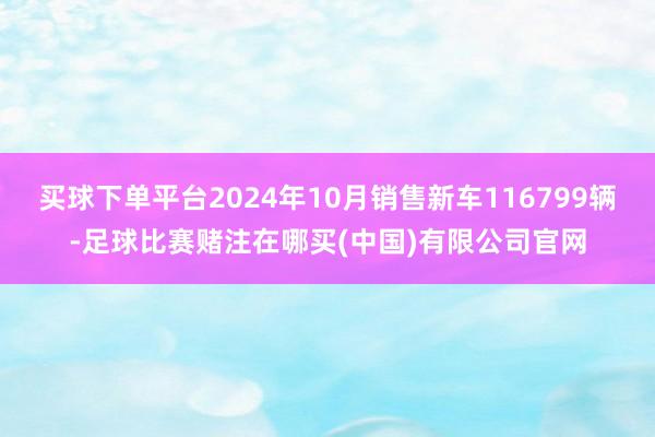 买球下单平台2024年10月销售新车116799辆-足球比赛赌注在哪买(中国)有限公司官网