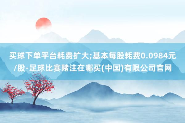 买球下单平台耗费扩大;基本每股耗费0.0984元/股-足球比赛赌注在哪买(中国)有限公司官网