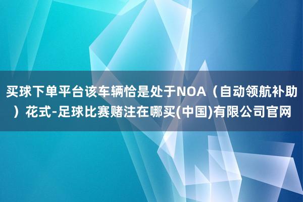 买球下单平台该车辆恰是处于NOA（自动领航补助）花式-足球比赛赌注在哪买(中国)有限公司官网