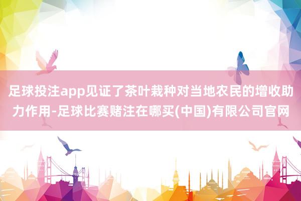 足球投注app见证了茶叶栽种对当地农民的增收助力作用-足球比赛赌注在哪买(中国)有限公司官网
