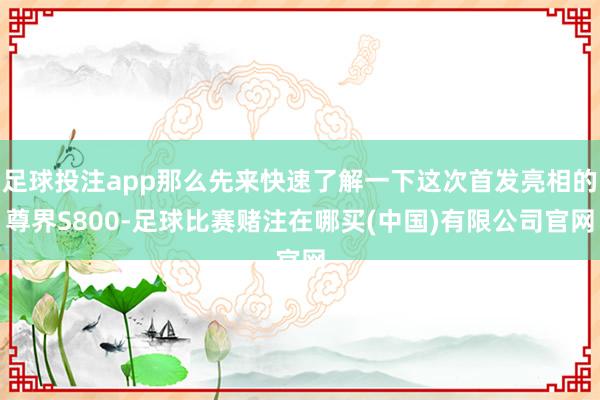 足球投注app那么先来快速了解一下这次首发亮相的尊界S800-足球比赛赌注在哪买(中国)有限公司官网