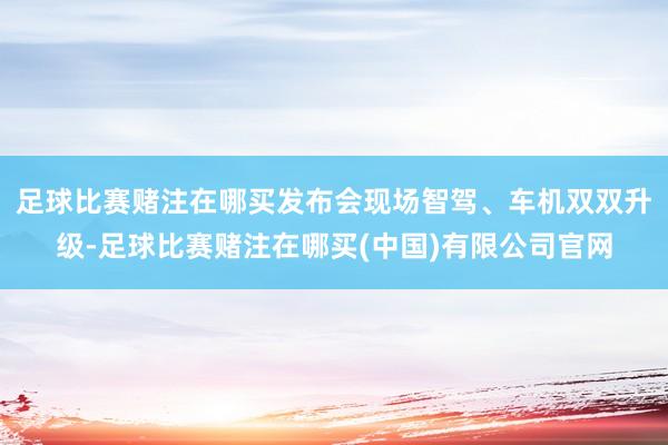 足球比赛赌注在哪买发布会现场智驾、车机双双升级-足球比赛赌注在哪买(中国)有限公司官网