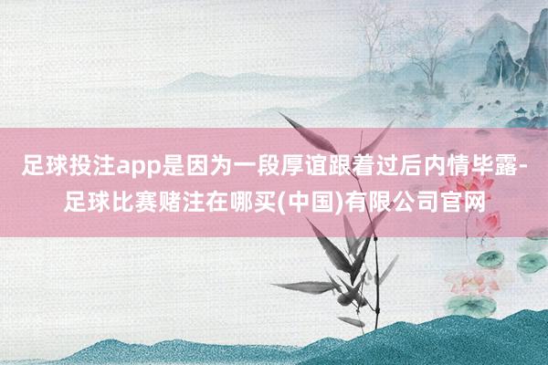 足球投注app是因为一段厚谊跟着过后内情毕露-足球比赛赌注在哪买(中国)有限公司官网