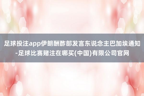 足球投注app伊朗酬酢部发言东说念主巴加埃通知-足球比赛赌注在哪买(中国)有限公司官网
