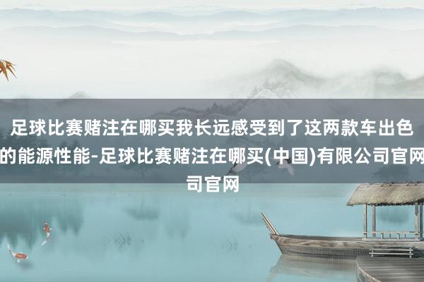 足球比赛赌注在哪买我长远感受到了这两款车出色的能源性能-足球比赛赌注在哪买(中国)有限公司官网